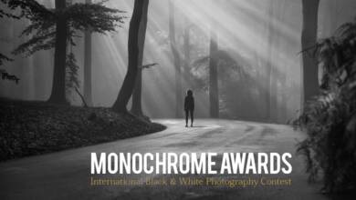 Monochrome Awards 2022 header