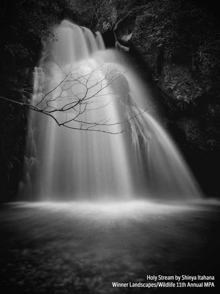 Shinya Ithana Holy Stream Landscapes Wildlife Sony XperiaZ5