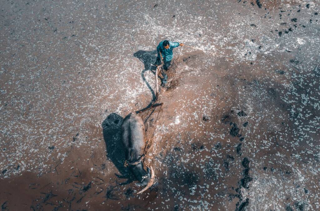 SkyPixel 2022 Yarışmasında Kazanan Hava Fotoğrafları 15 SkyPixel 2022 Yarismasinda Kazanan Hava Fotograflari 014
