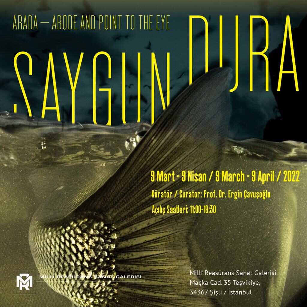 Saygun Dura “Arada"