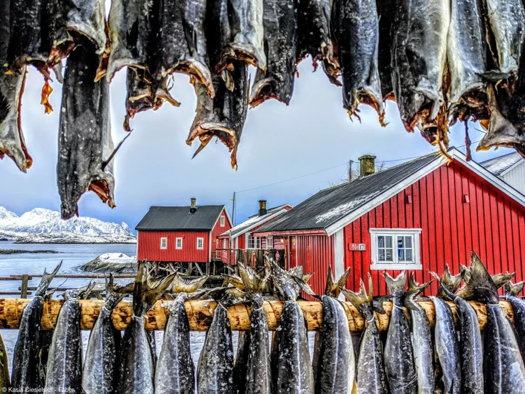 Pink Lady Yılın Yemek Fotoğrafçısı 2022 18 19 Kasia Faber Drying Stockfish
