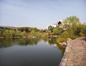 64 megapixel Pi Hawk eye 49