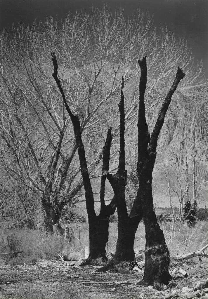 Siyah Beyaz Fotoğrafın Kısa Tarihi 9 Owens Valley California 1937 Ansel Adams C.1959