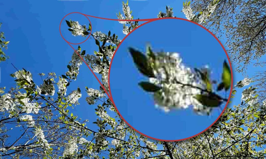 JPEG nedir? Bilmeniz gereken her şey 6 JPG nedir 005
