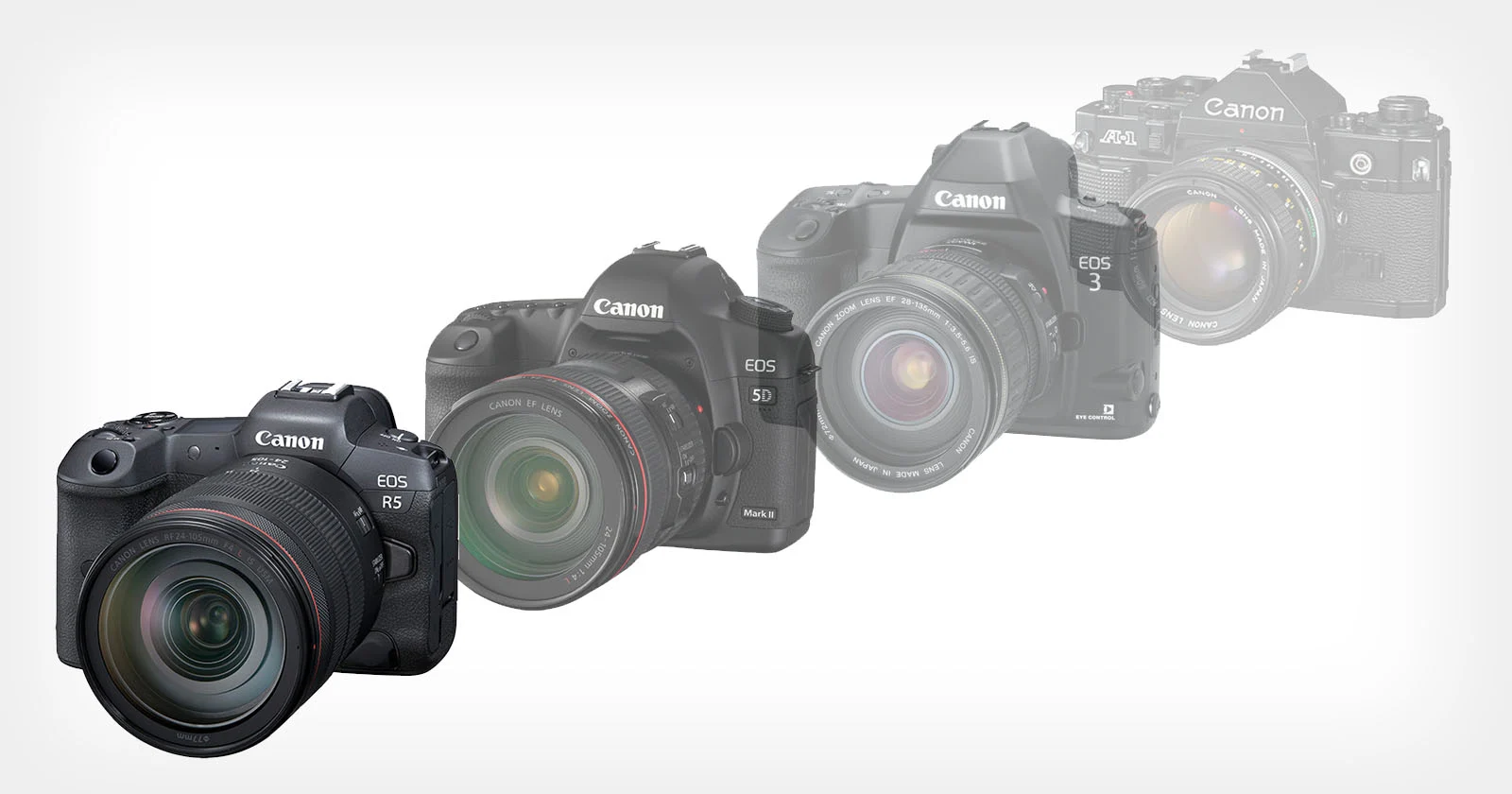 evolution of the canon dslr to mirrorless
