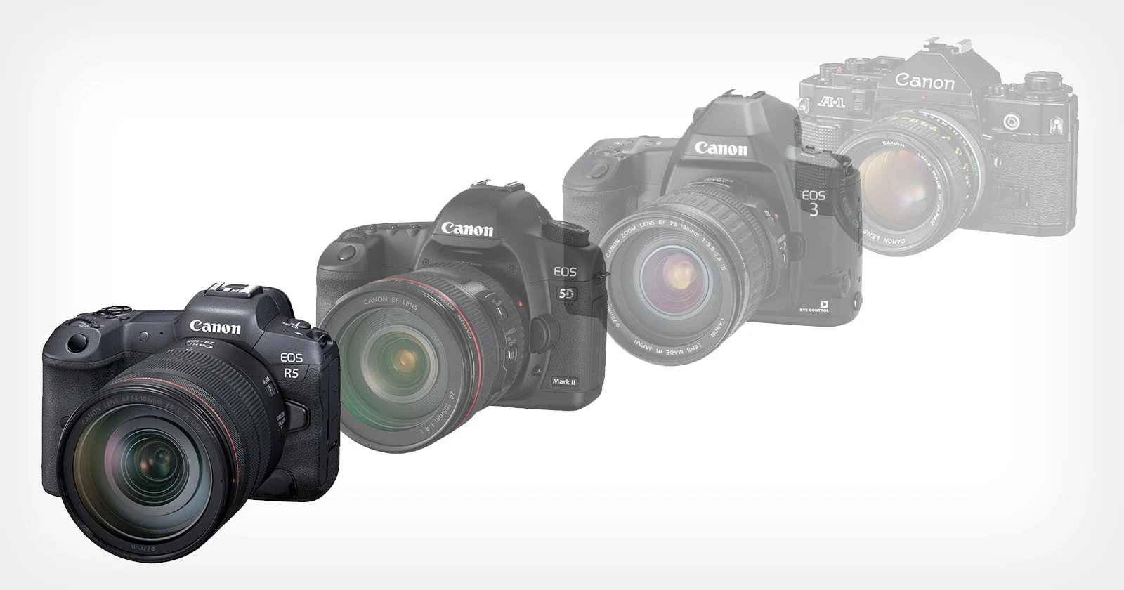Aynasız Devrimi Şekillendirmeye Yardımcı Olan Kameralar 1 evolution of the canon dslr to mirrorless
