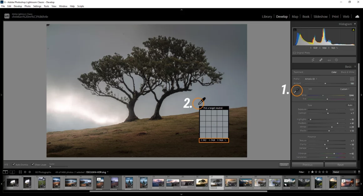 Yeni Başlayanlar için 70 Adobe Lightroom Classic İpuçları, Püf Noktaları ve Kısayollar 4 25 neutral white balance