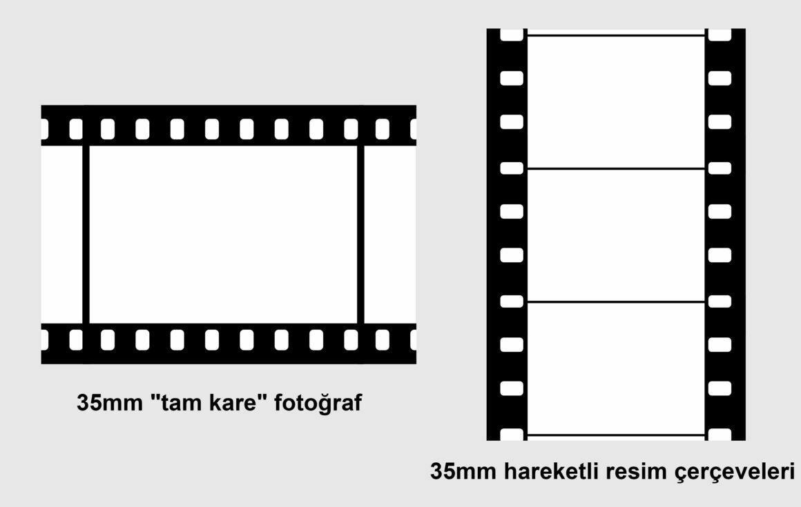 35mm still vs motion picture film frames