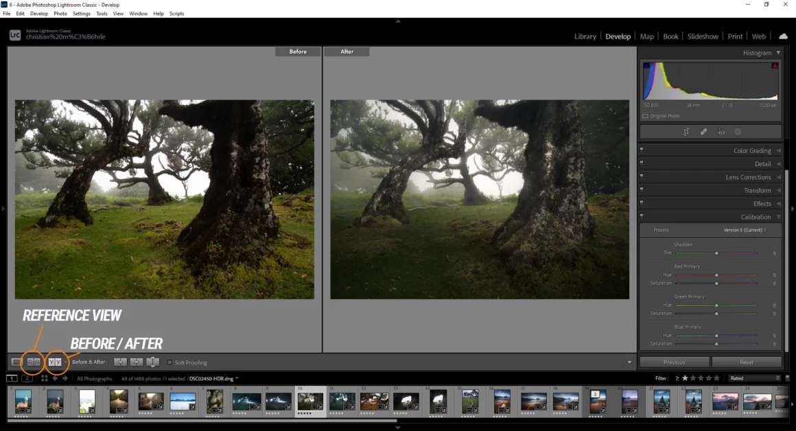 Yeni Başlayanlar için 70 Adobe Lightroom Classic İpuçları, Püf Noktaları ve Kısayollar 10 64 65 before after reference view