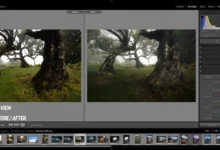 Yeni Başlayanlar için 70 Adobe Lightroom Classic İpuçları, Püf Noktaları ve Kısayollar 5 70 Adobe Lightroom Classic Tips for Beginners