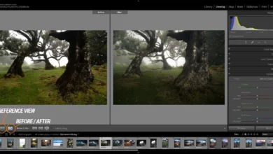 Yeni Başlayanlar için 70 Adobe Lightroom Classic İpuçları, Püf Noktaları ve Kısayollar 17 70 Adobe Lightroom Classic Tips for Beginners