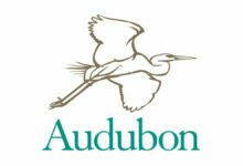 Audubon Photography Awards 2022 8 Audubon