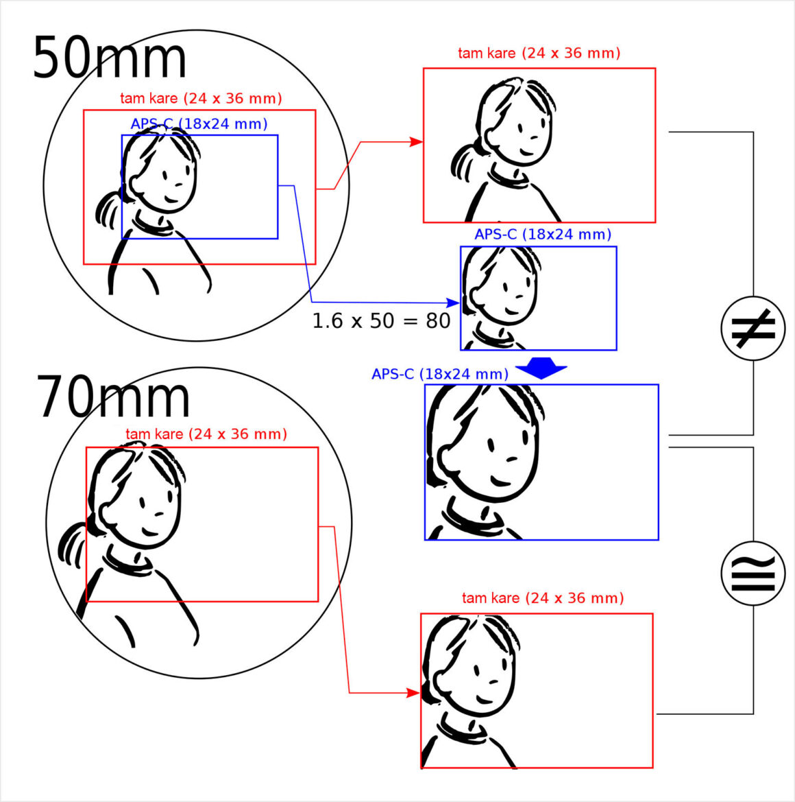 angle of view full frame vs aps c