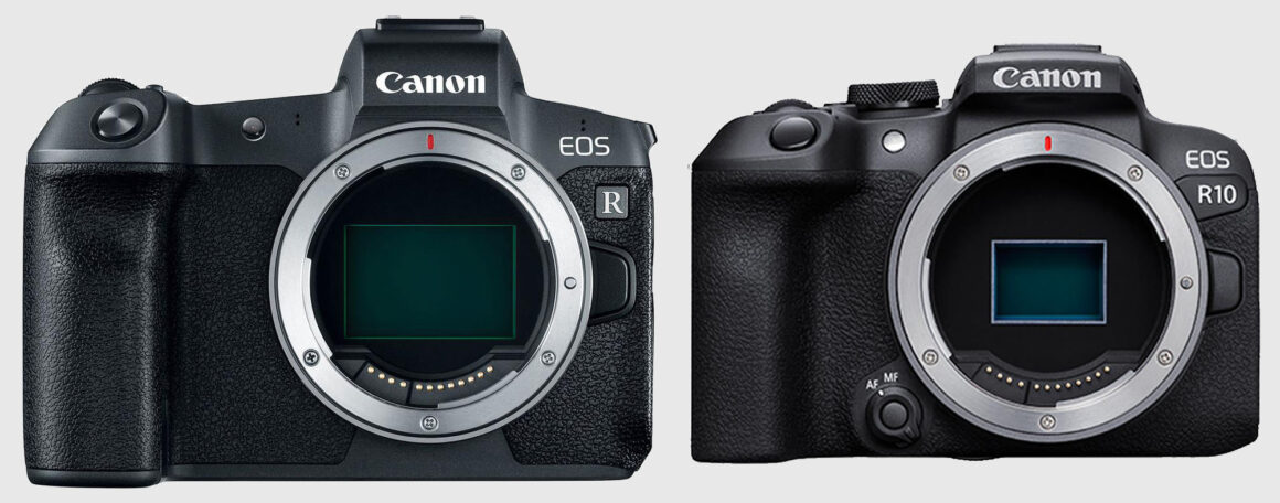 canon full frame vs aps mirrorless cameras eos r vs eos r10