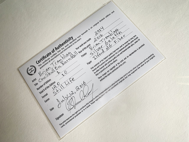 Sanat Fotoğraflarınızı Nasıl Fiyatlandırırsınız 8 cert authenticity