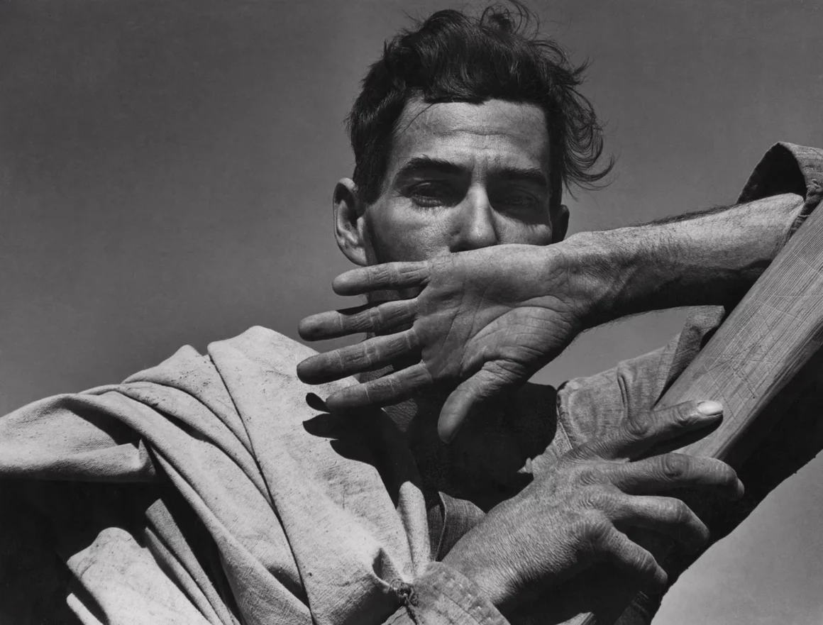 dorothea lange cotton picker