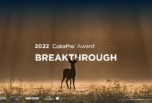 ColorPro Award 2022 4 1660561898 ColorPro Award 2022