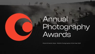 Annual Photography Awards 2022