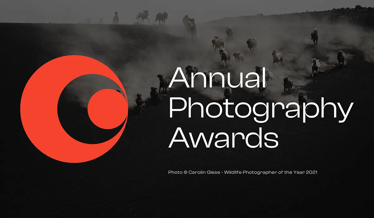 Annual Photography Awards 2022