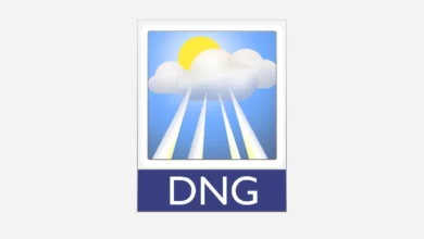 DNG Dosyasi Bir .dng Resmi Nedir ve Nasil Acilir