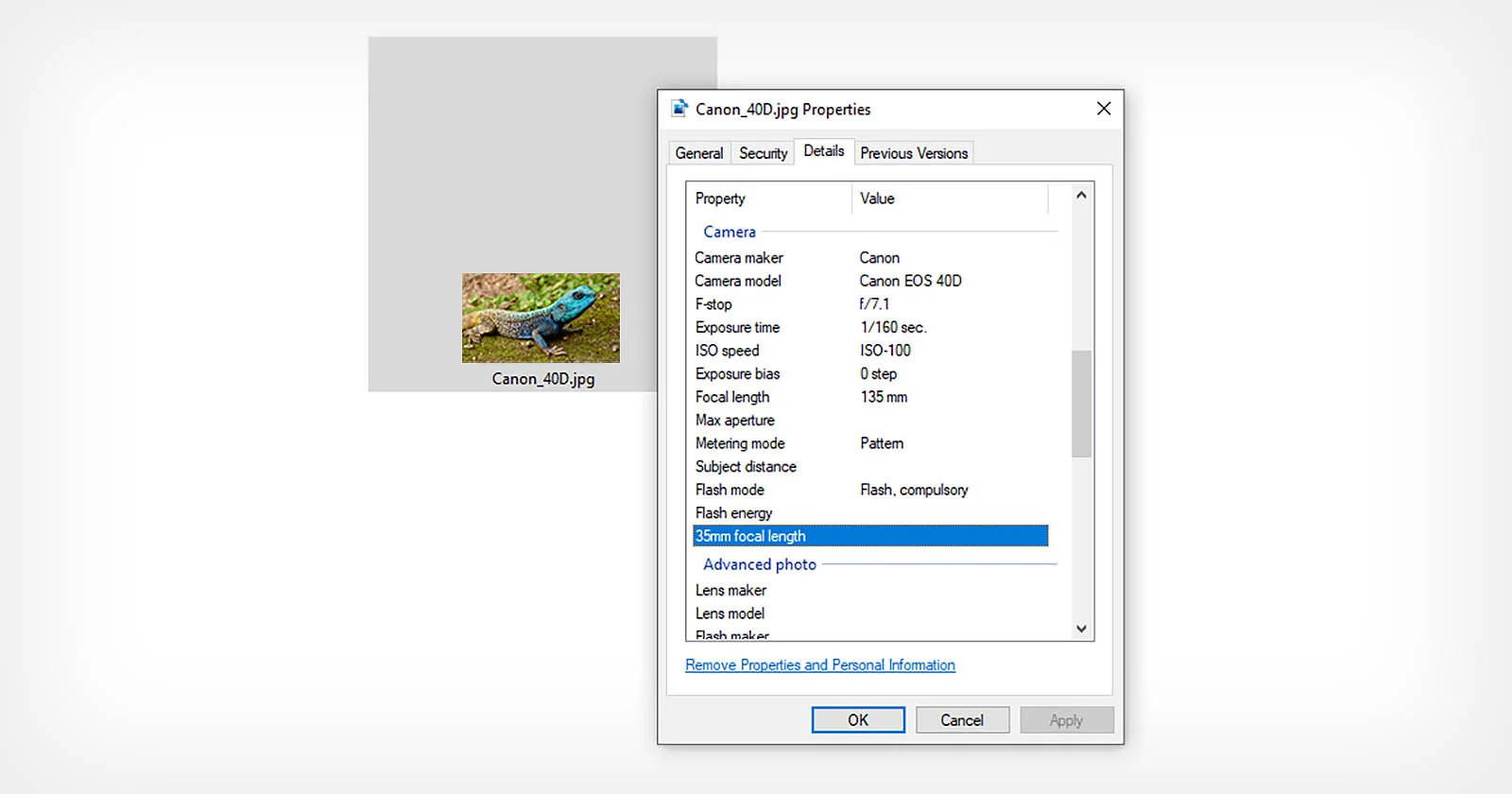 Dijital Fotograflarda EXIF ​​Verisi Nedir