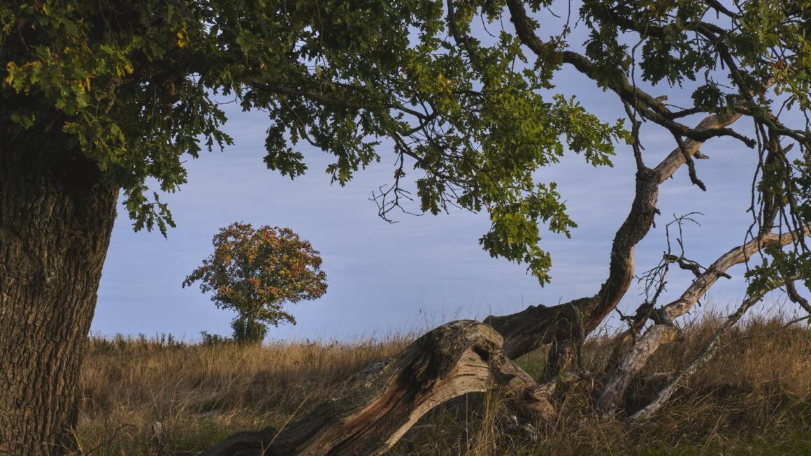 Manzara Fotoğrafçılığında Çerçeve İçinde Çerçeve 4 Manzara Fotografciliginda Cerceve Icinde Cerceve 003