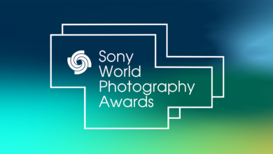Sony Dünya Fotoğraf Ödülleri 2023 5 Sony Dunya Fotograf Odulleri 2023 header