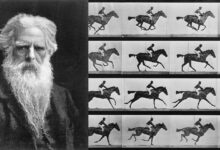 Eadweard Muybridge: Zamanı Donduran Fotoğrafçı 7 eadweard muybridge featured