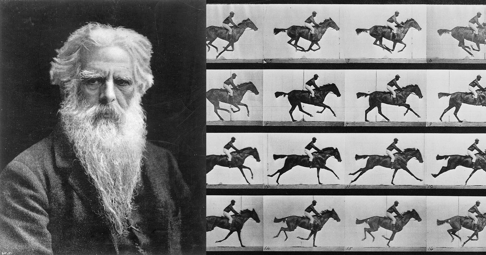 eadweard muybridge featured