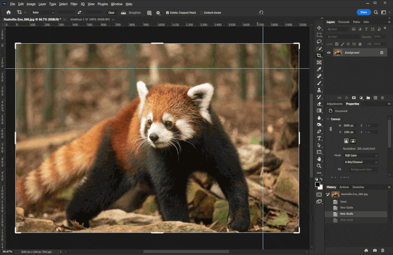 Photoshop'ta Crop (Kırpma) Nasıl Yapılır? 9 figure 7