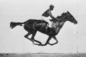 muybridge galloping horse animation