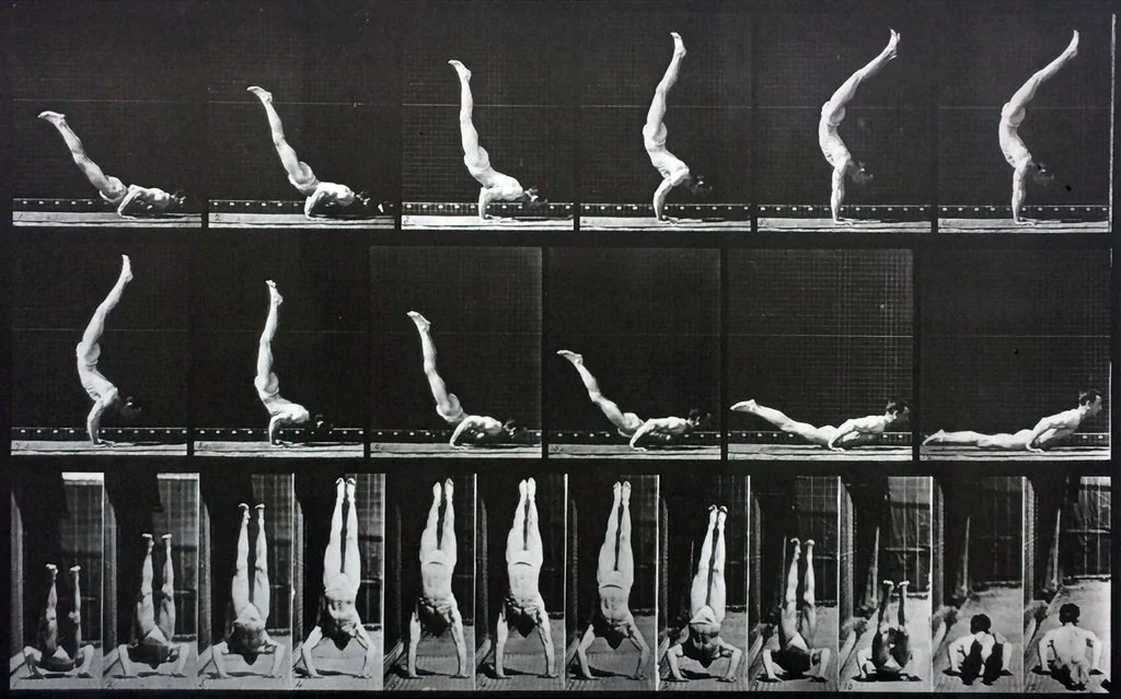 muybridge motion study man gymnastics