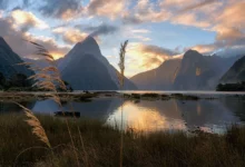 Fotoğraf Çekmek İçin Yurtdışına Gitmek Neden Mantıklı Değil? 7 01 Milford Sound Grassy Sunset