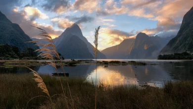 01 Milford Sound Grassy Sunset