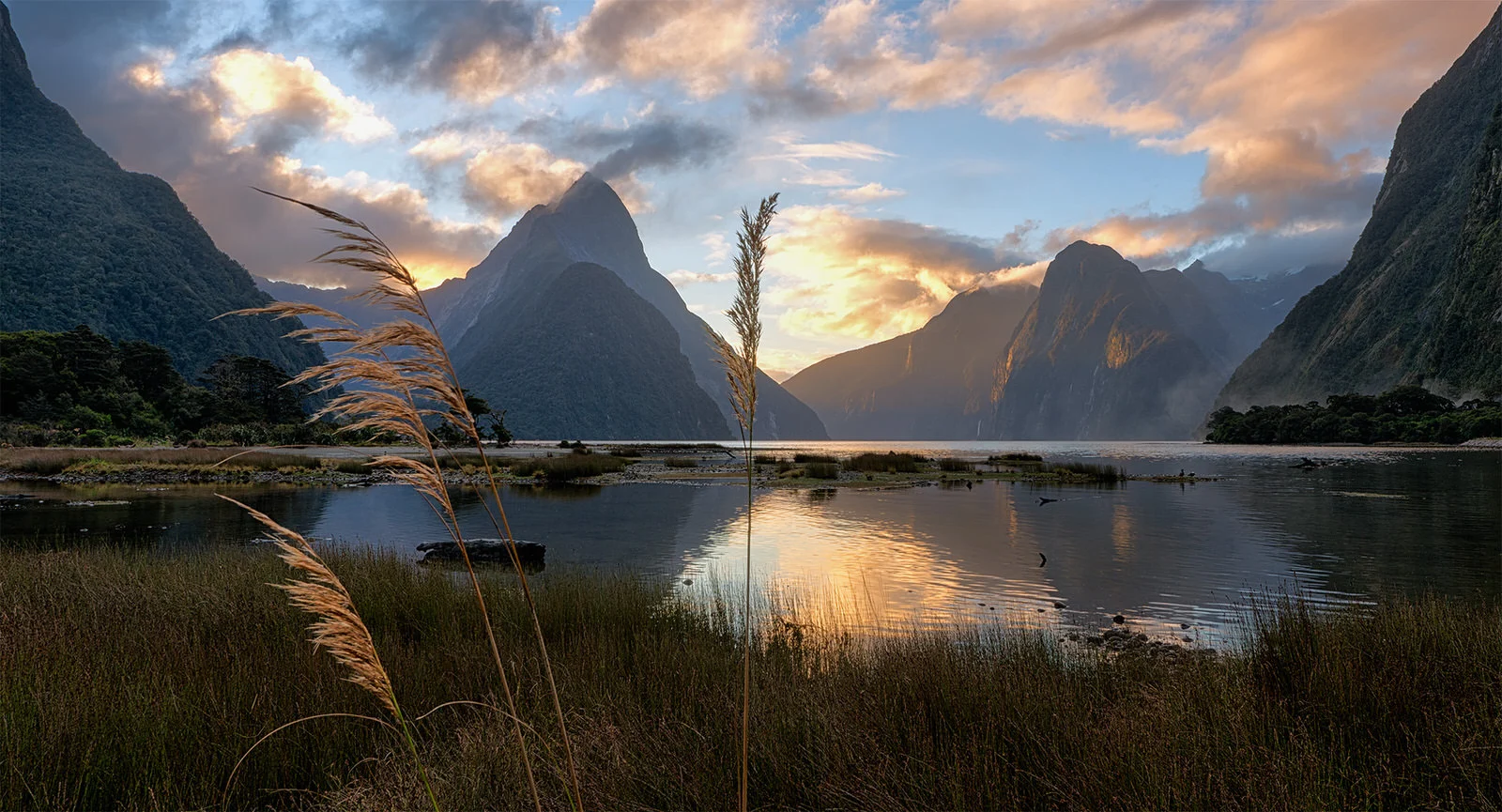 01 Milford Sound Grassy Sunset