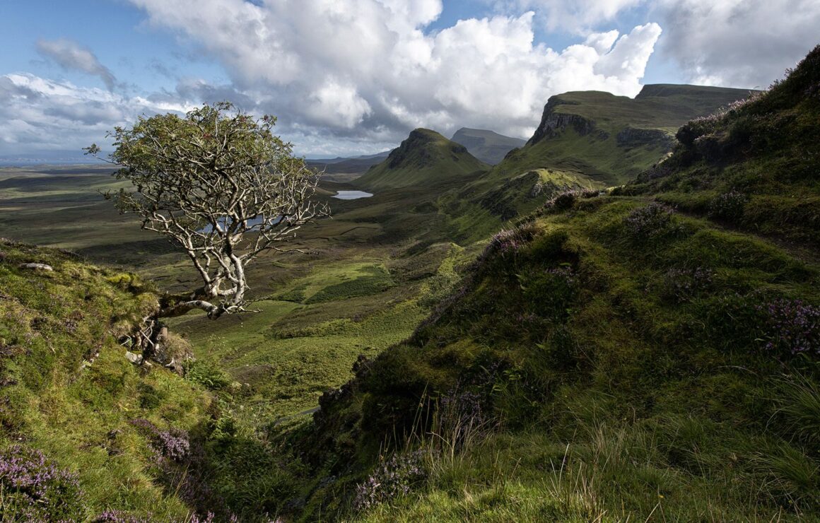 Fotoğraf Çekmek İçin Yurtdışına Gitmek Neden Mantıklı Değil? 3 03 Quiraing Tree