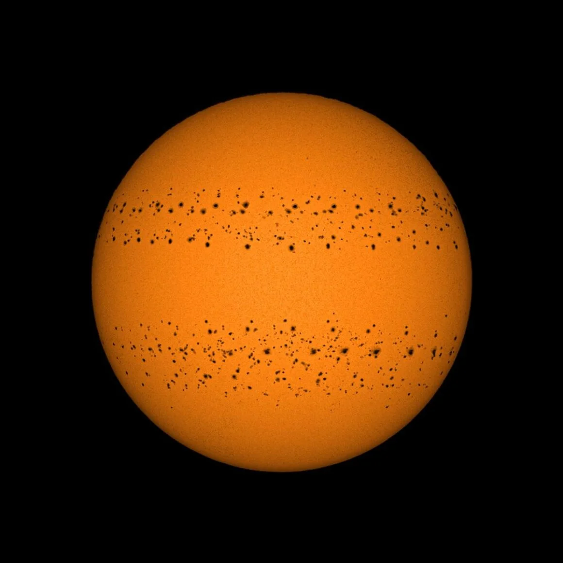 A Year in the Sun by Soumyadeep Mukherjee Astronomy Photographer of the Year 2022 Our Sun