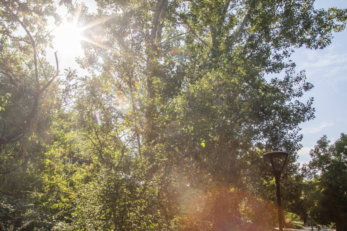 Fotoğrafçılıkta Diyafram: Eksiksiz Bir Kılavuz 23 FullSunSunburst Worse