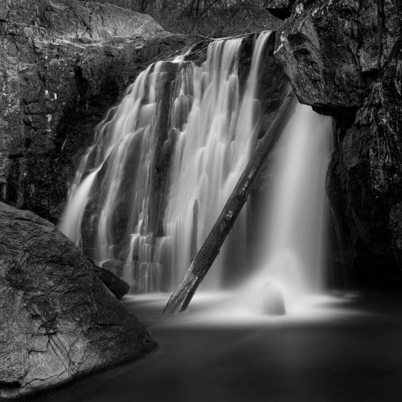 G.B. Smith Yaraticiligin kurali yok 011