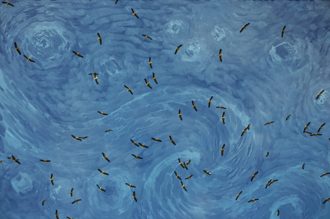 The Bird Photographer of the Year 2022 23 GOLD Creative Imagery