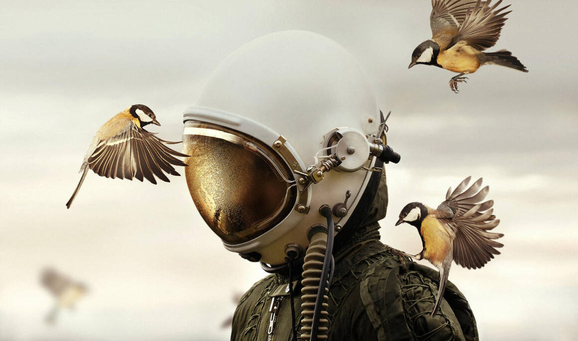 Martin Stranka : Çoğu zaman, kendi rüyalarım bir ilham perisidir! 3 Martin Stranka Cogu zaman kendi ruyalarim bir ilham perisidir 001