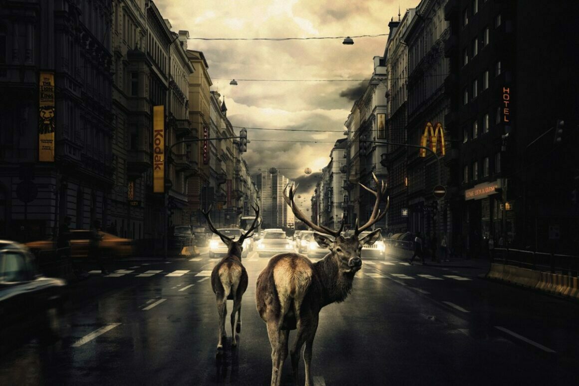 Martin Stranka : Çoğu zaman, kendi rüyalarım bir ilham perisidir! 9 Martin Stranka Cogu zaman kendi ruyalarim bir ilham perisidir 007