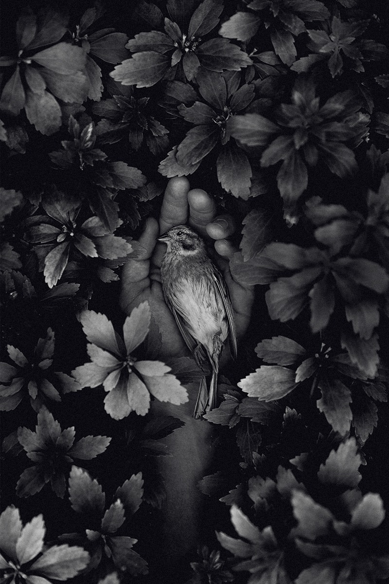 Martin Stranka : Çoğu zaman, kendi rüyalarım bir ilham perisidir! 12 Martin Stranka Cogu zaman kendi ruyalarim bir ilham perisidir 010