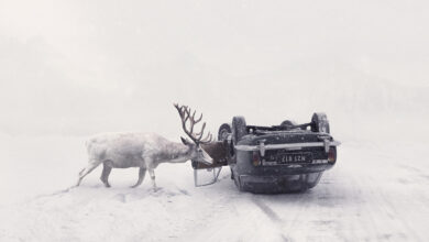 Martin Stranka : Çoğu zaman, kendi rüyalarım bir ilham perisidir! 18 Martin Stranka Cogu zaman kendi ruyalarim bir ilham perisidir header