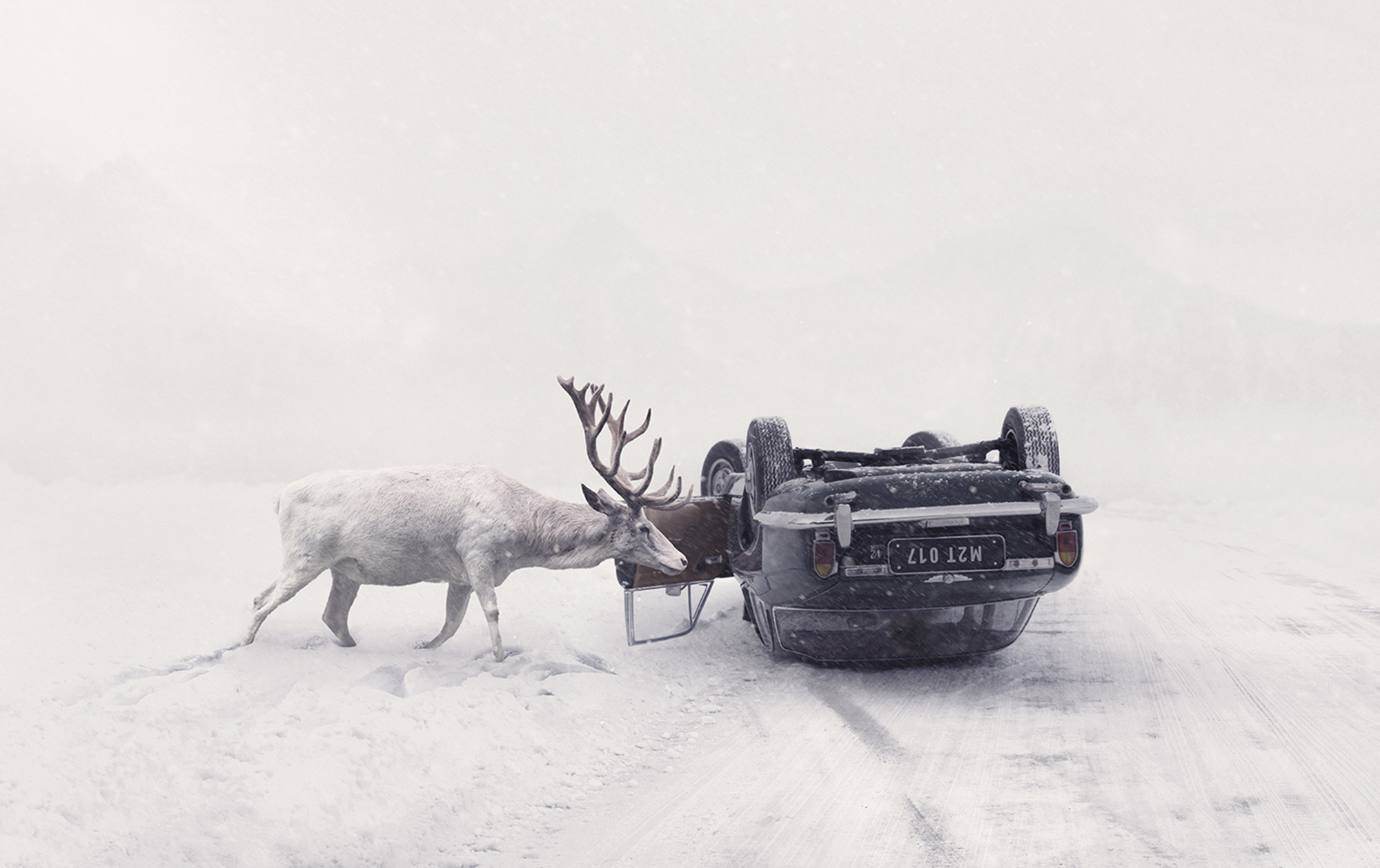 Martin Stranka Cogu zaman kendi ruyalarim bir ilham perisidir header