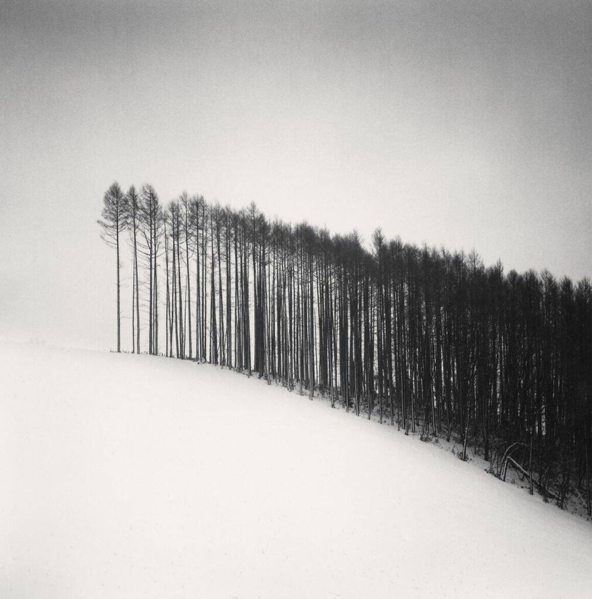 Michael Kenna: "Hayat bana ilham veriyor" 14 Michael Kenna 14