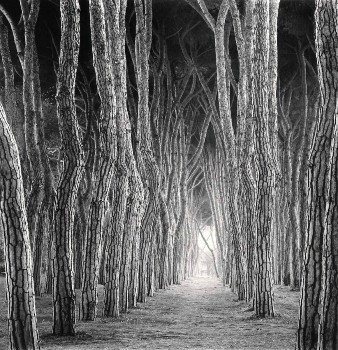 Michael Kenna: "Hayat bana ilham veriyor" 11 Michael Kenna 6