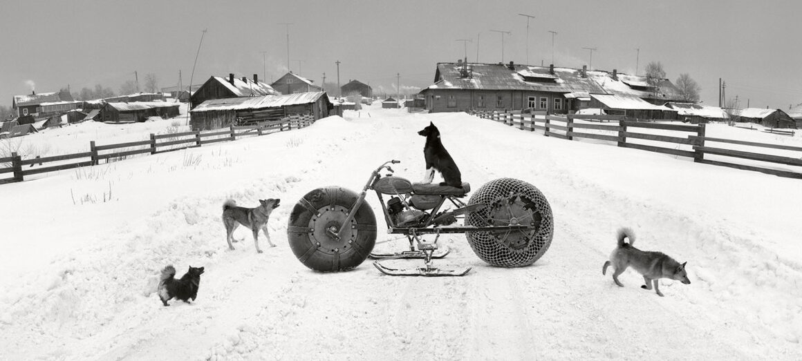 SAMMALLAHTI Pentti FestivalPhotoLaGacilly2021 HD 4