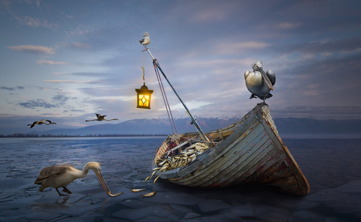 The Bird Photographer of the Year 2022 24 SILVER Creative Imagery