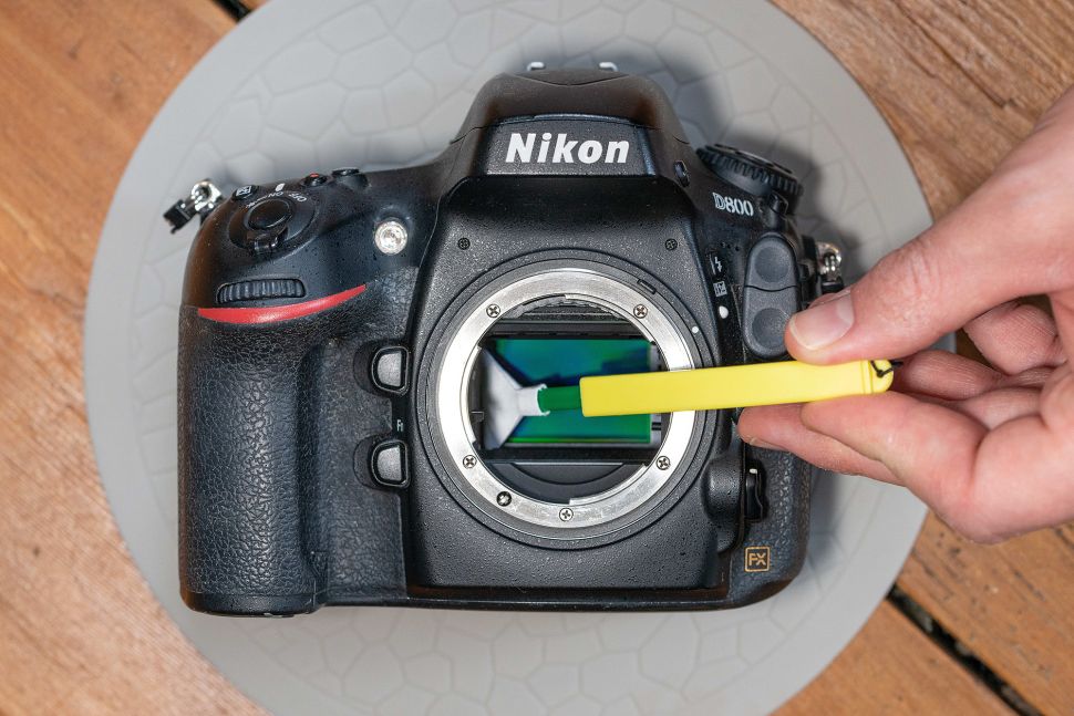 2022'de Aynasız vs DSLR 12 nikon d800 sensor